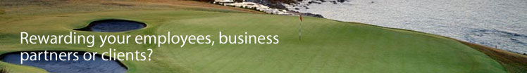 Rewarding your employees, business partners, or clients?
